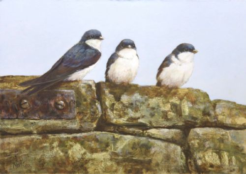Neil Cox - Arrived - House Martins
