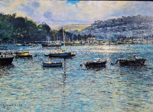 John Donaldson - Dartmouth Harbour