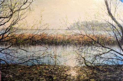 John Donaldson - Lagoon in Spring